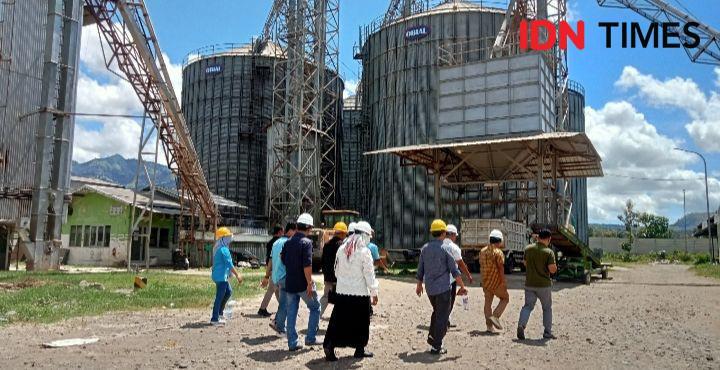 Harga Jagung Anjlok, DPRD Bima Desak PT SUL Serap Sesuai HPP