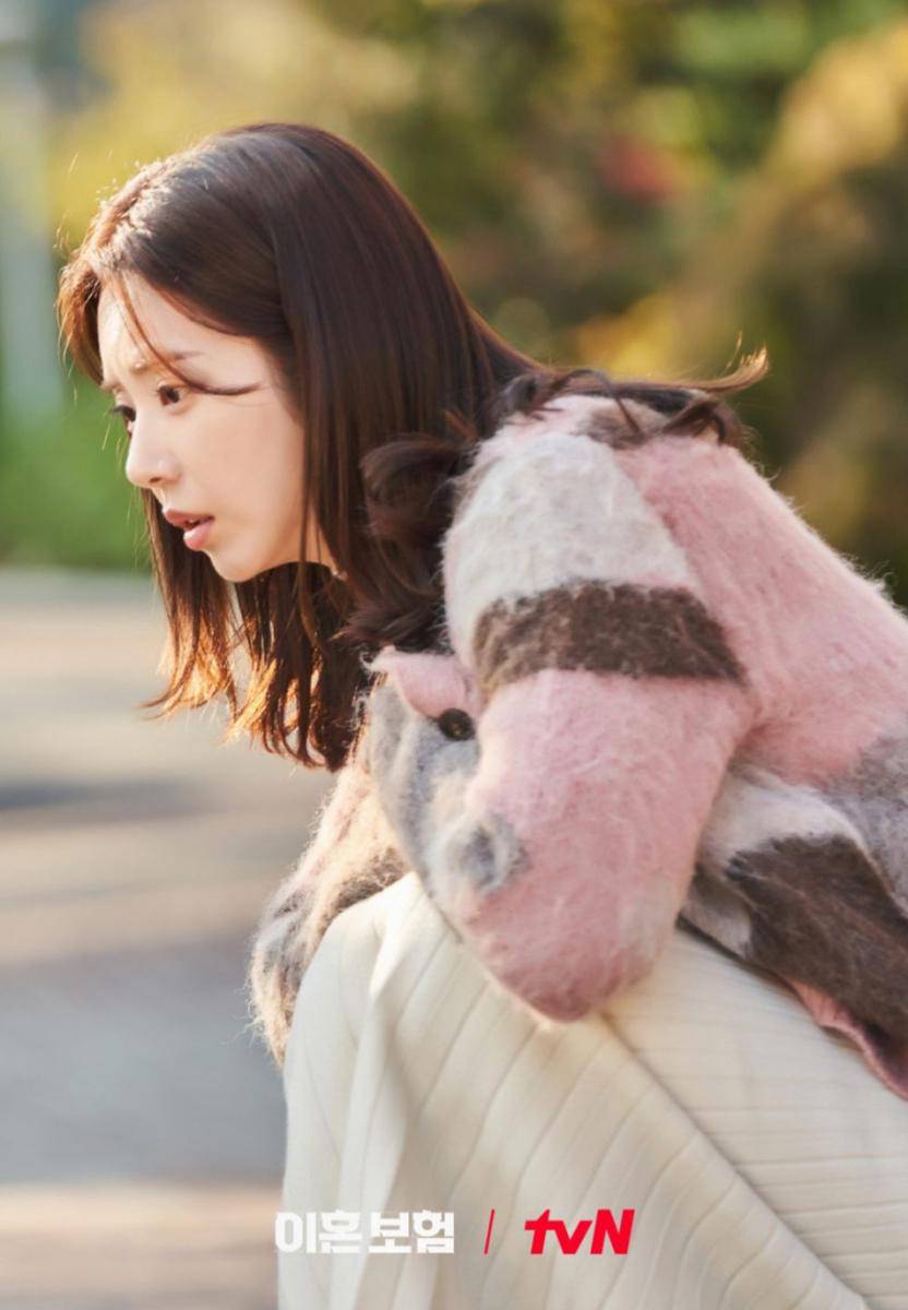 Still cut The Divorce Insurance (dok. tvN/The Divorce Insurance)