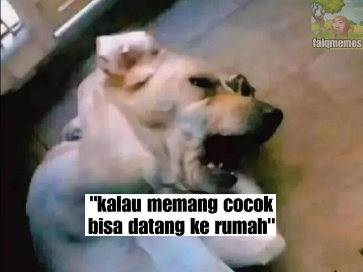 8 Meme Lucu Lirik Lagu Stecu "Kalau Memang Cocok Bisa Datang ke Rumah"