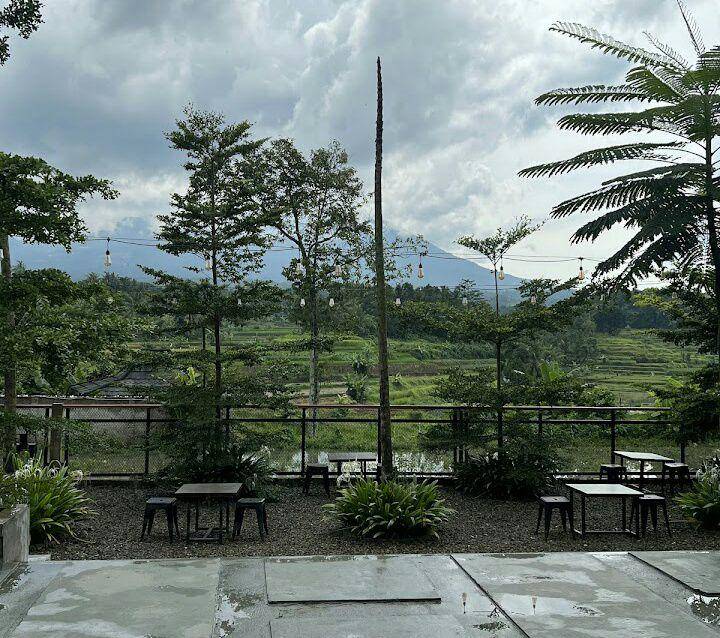 Terrace Padi Cafe and Eatery, Serang (google.com/maps/Tycha Chan)
