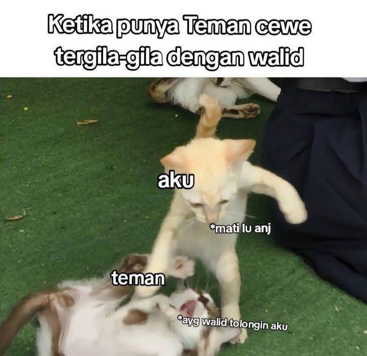 meme Walid (instagram.com/reqcehin)