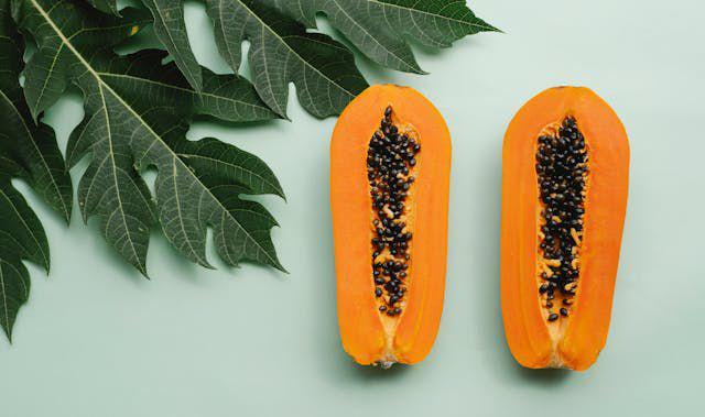 ilustrasi buah pepaya (pexels.com/armando)
