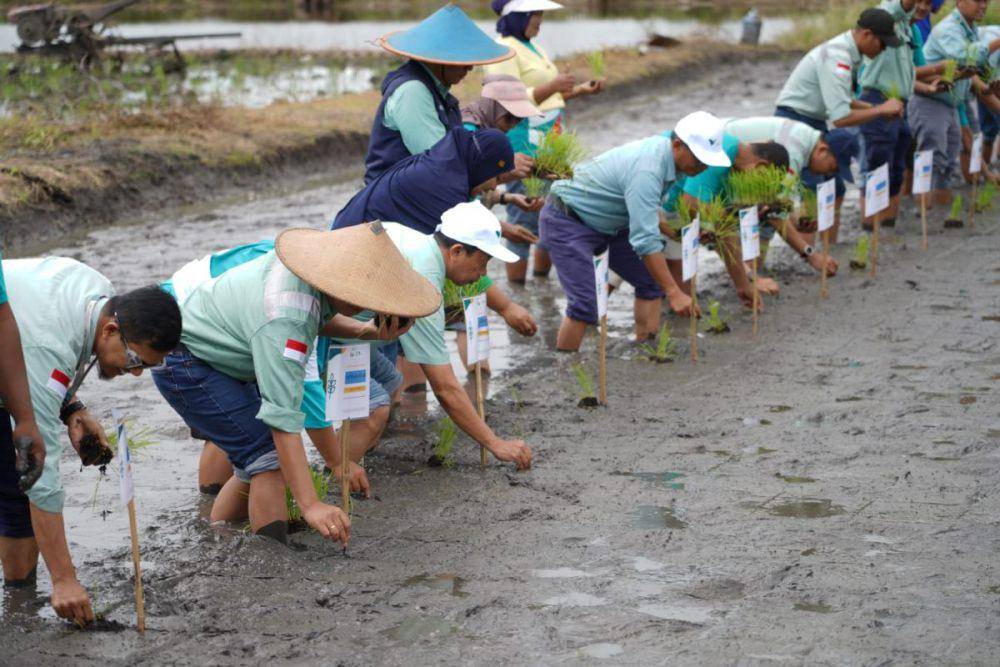 Penanaman bibit pohon oleh PT Vale (sultra.antaranews.com)