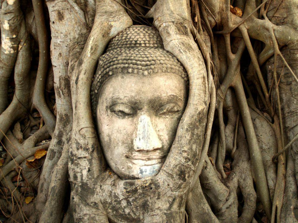 Wat Mahathat (pexels.com/icon0 com)
