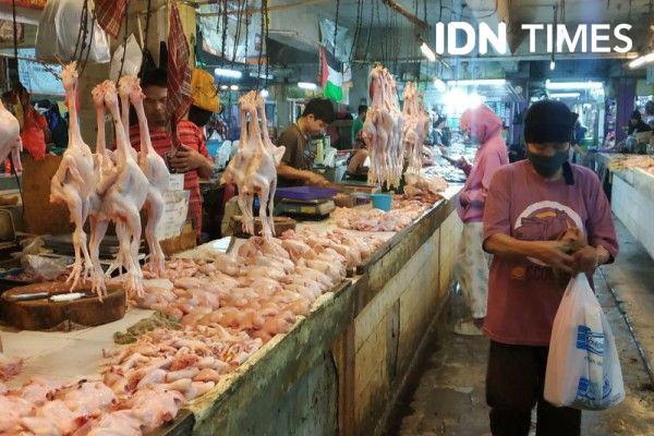 Peternak di Palembang Minta Pemda Sosialisasikan Penjualan Ayam Beku