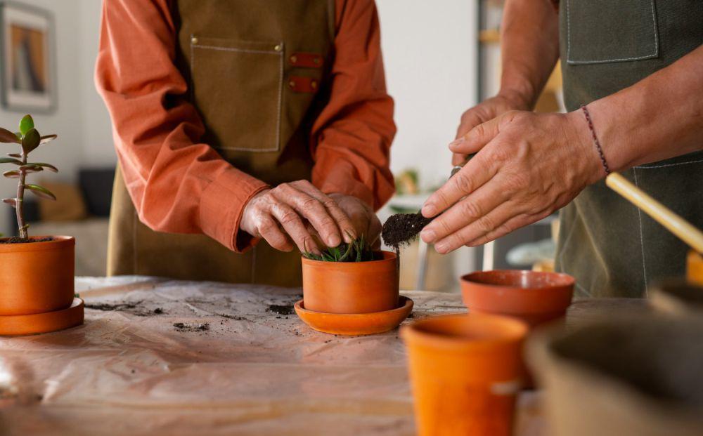 5 Ide Kreatif Bikin Pot Tanaman Unik dari Barang Bekas di Rumah