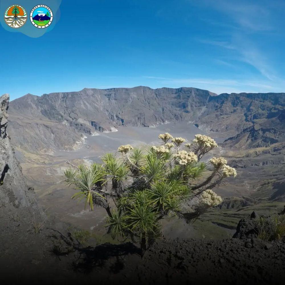 Hore, Jalur Pendakian Gunung Tambora Dibuka Lagi!