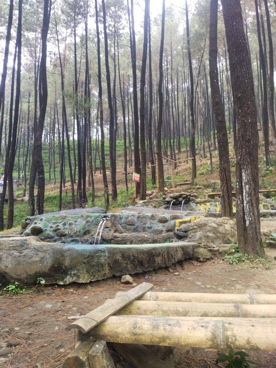 Hutan Venus, Hutan Trawas, Mojokerto. IDN Times/Khoirul Huda