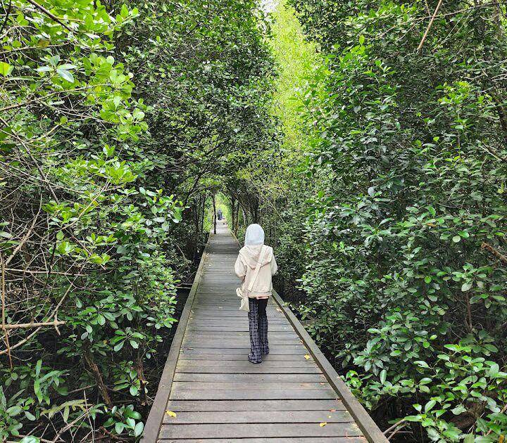 Bontang Mangrove Park, Bontang (google.com/maps/Maya Rakhma)