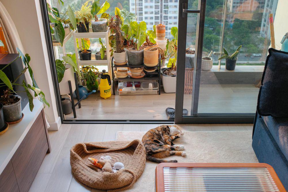 Terapkan! 5 Rahasia Bikin Balkon Kecil Jadi Spot Nyaman dengan Tanaman