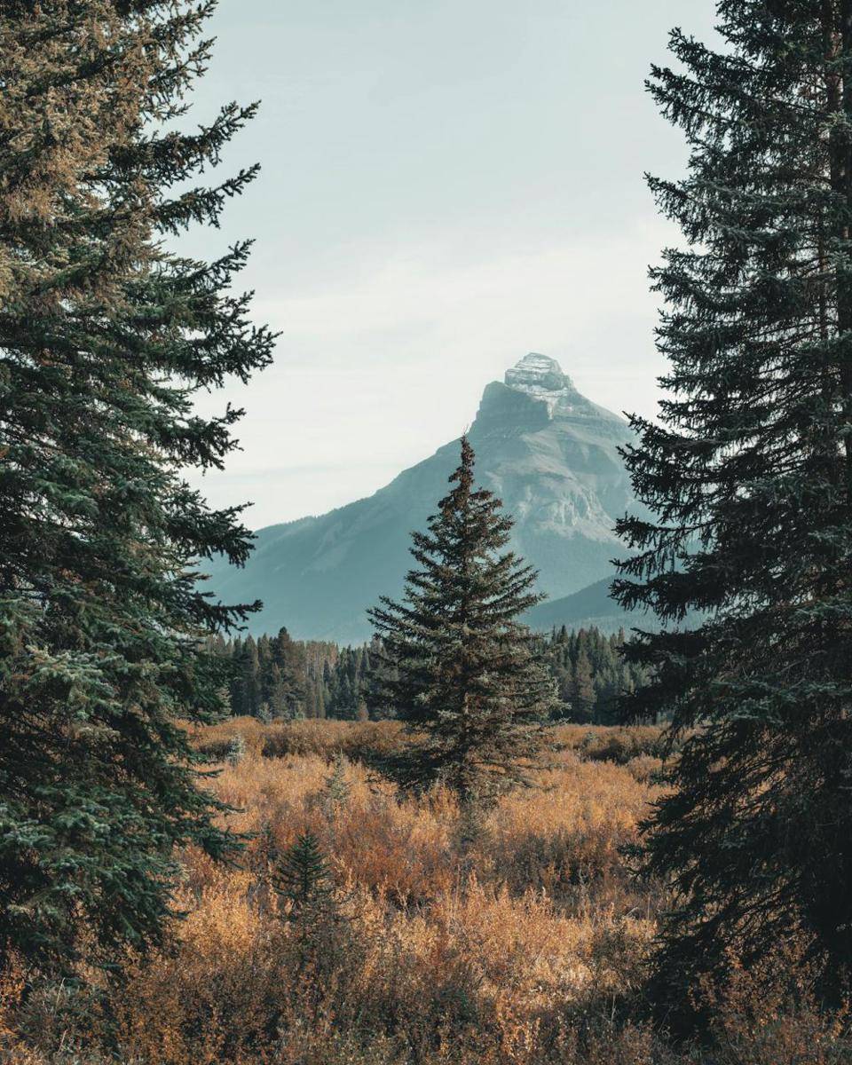 Ilustrasi Pemandangan Gunung. (Pexels.com/Marlon Martinez)