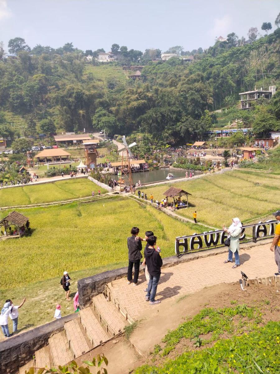 8 Desa Wisata di Mojokerto, Perpaduan Alam, Budaya, dan Sejarah
