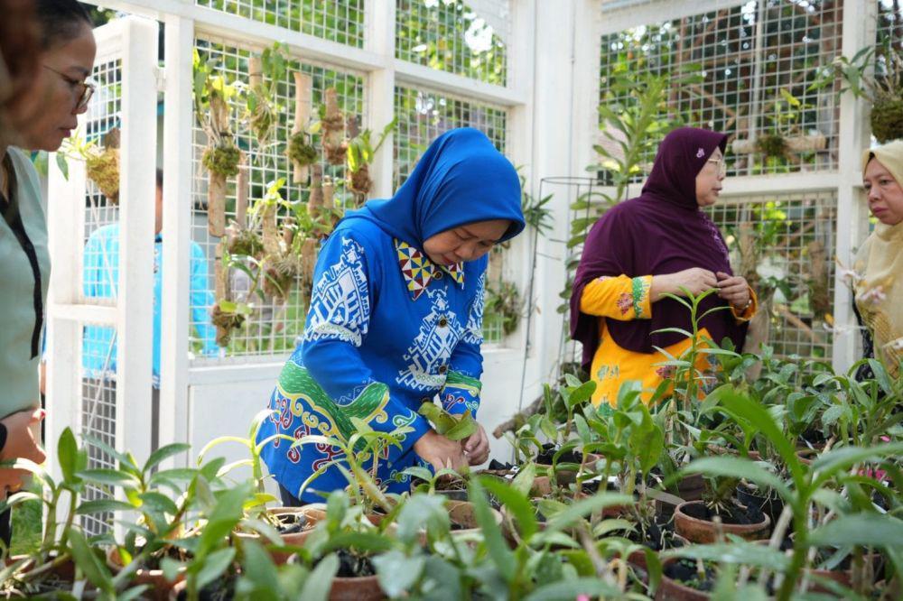 Konservasi Anggrek Unila, Selamatkan Spesies Lokal Terancam Punah