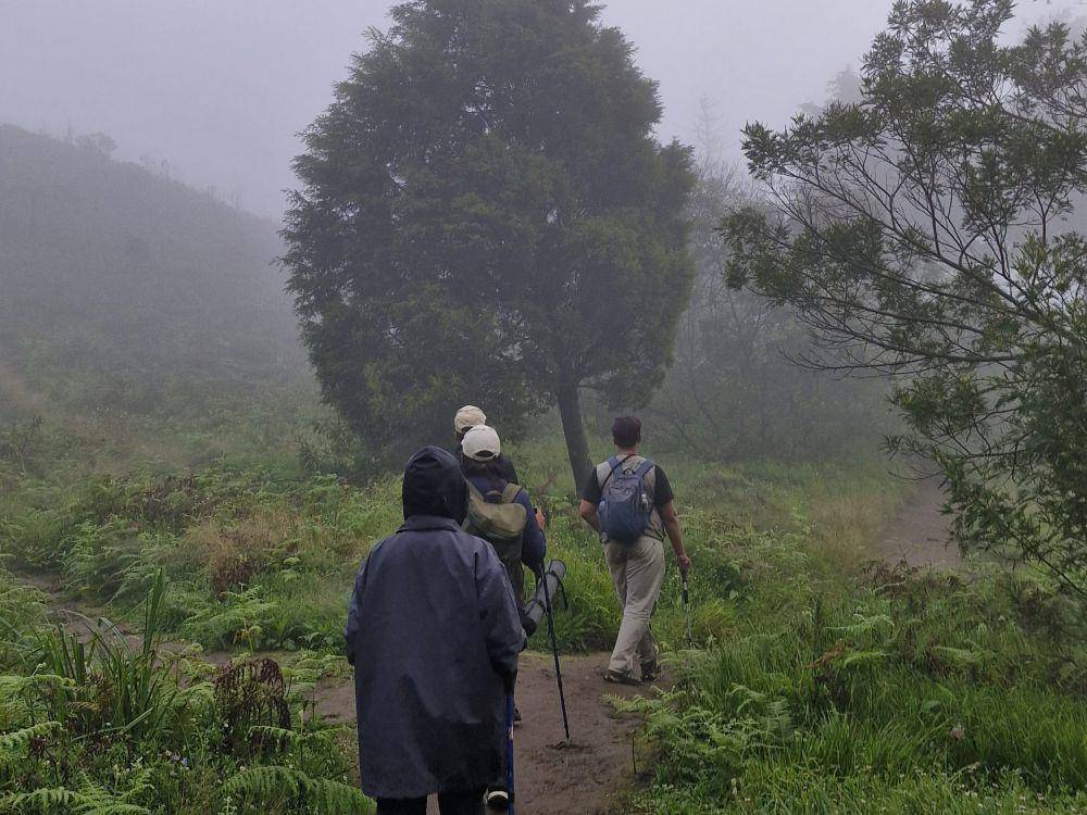 Suasana menuju sabana Gunung Prau (dok. Pribadi/Stephanie Priyanka)
