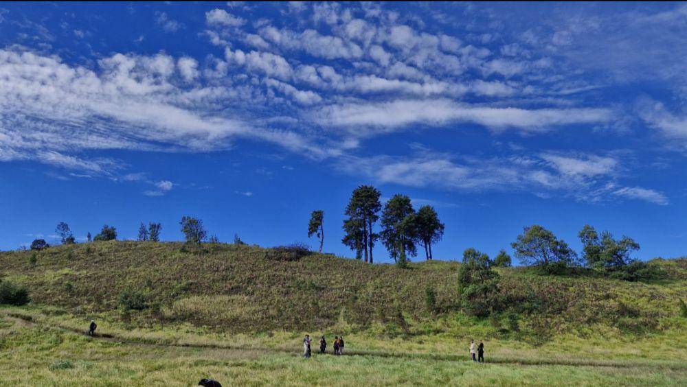 Pemandangan sabana Gunung Prau (dok. Pribadi/Stephanie Priyanka)