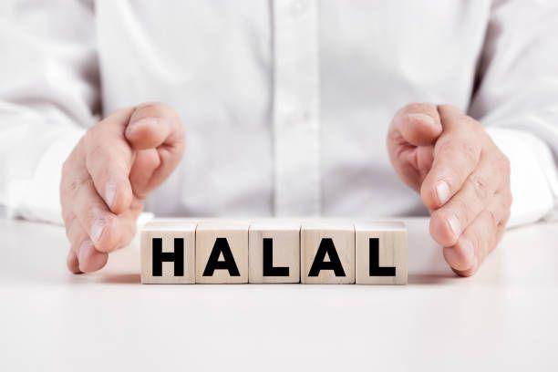 ilustrasi logo halal (istockphoto.com/cagkansayin)