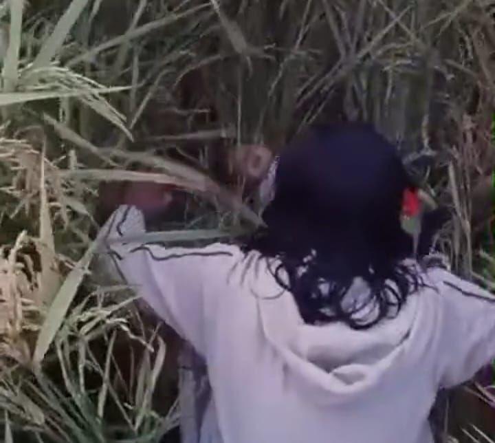 Geger! Bayi Laki-laki Dibuang di  Persawahan Padi di Madiun