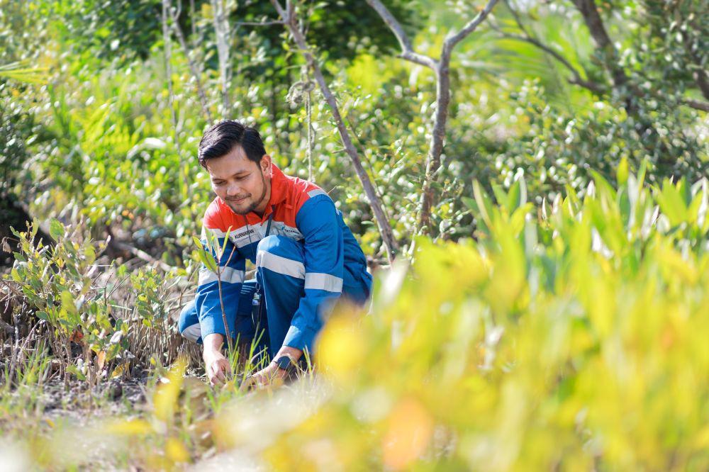 Dukung NZE, Pertamina Terus Memperkuat Program Hutan Lestari