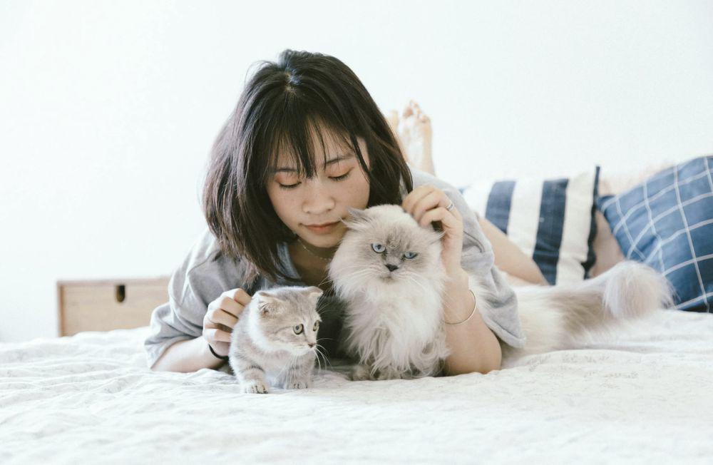 6 Tips Membantu Kucing Beradaptasi di Rumah Baru, Biar Gak Stres!