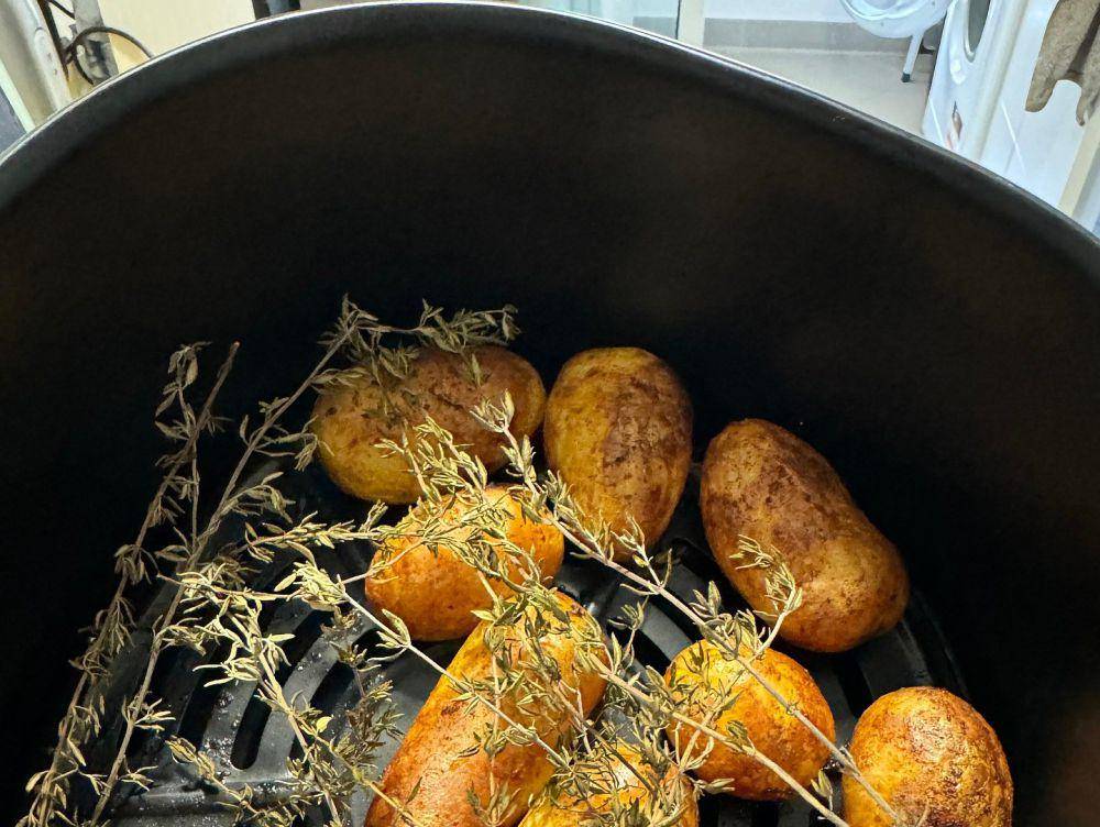ilustrasi memasak dengan air fryer (pixabay.com/katarzynajavaheri0)