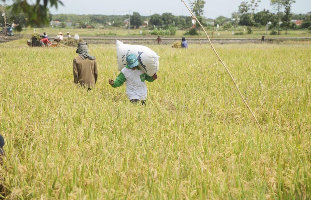 Pupuk Indonesia Libatkan 128 Ribu Petani dalam Program Makmur di Q1