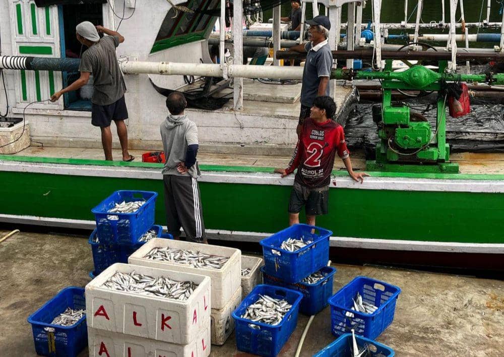 Hasil laut menjadi salah satu potensi di kawasan Bontang Lestari. (Dok. DPM-PTSP Bontang)