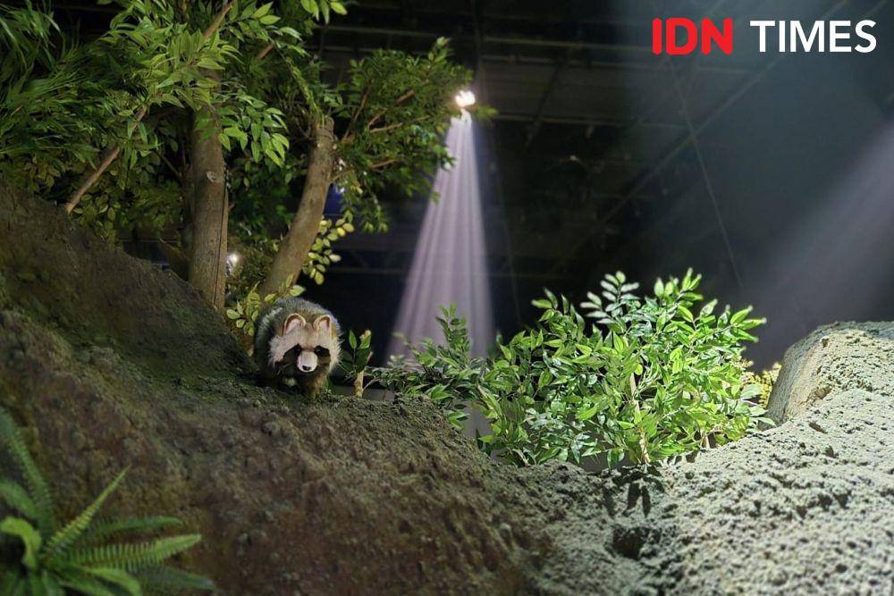 Fauna bikin gemas (IDN Times/Uni Lubis)