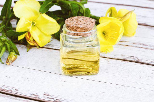 Ilustrasi minyak canola (vecteezy.com/Nadezhda Soboleva)