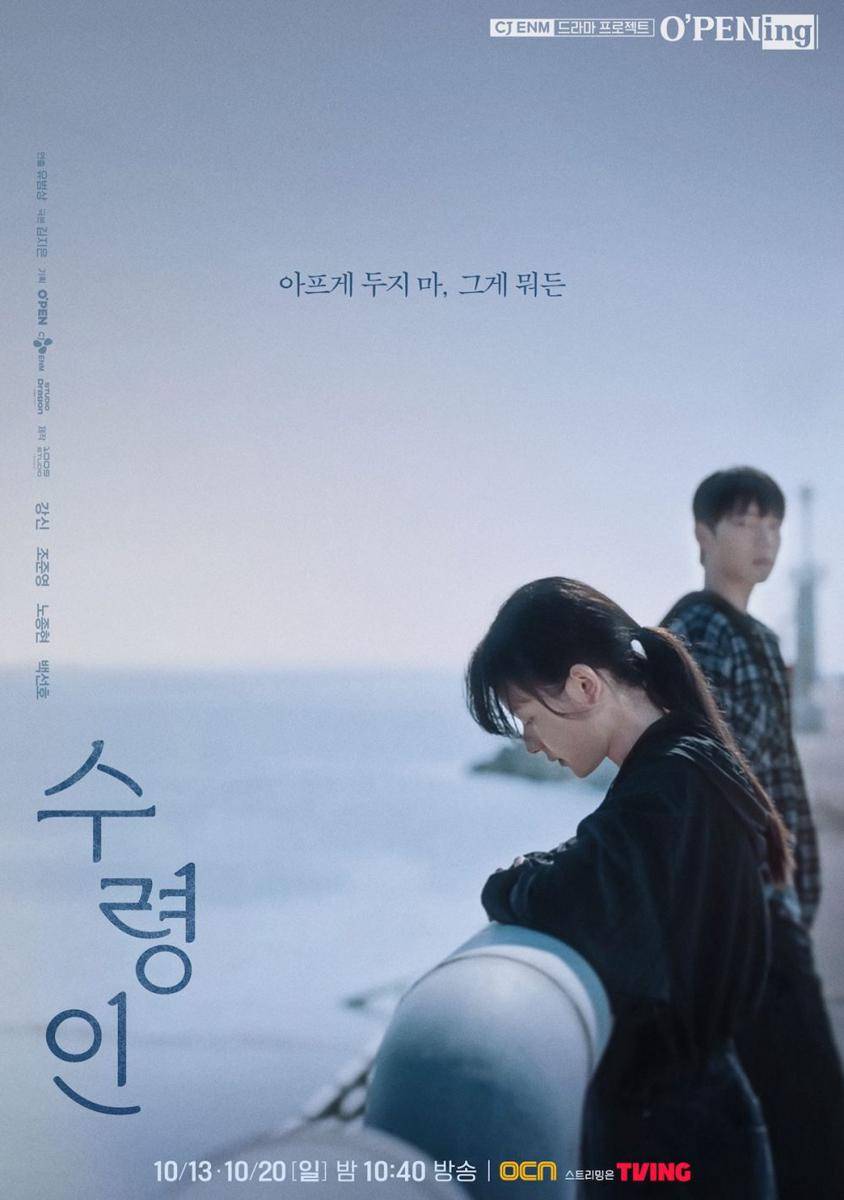poster drama Million Dollar Baby (dok. OCN/Million Dollar Baby)
