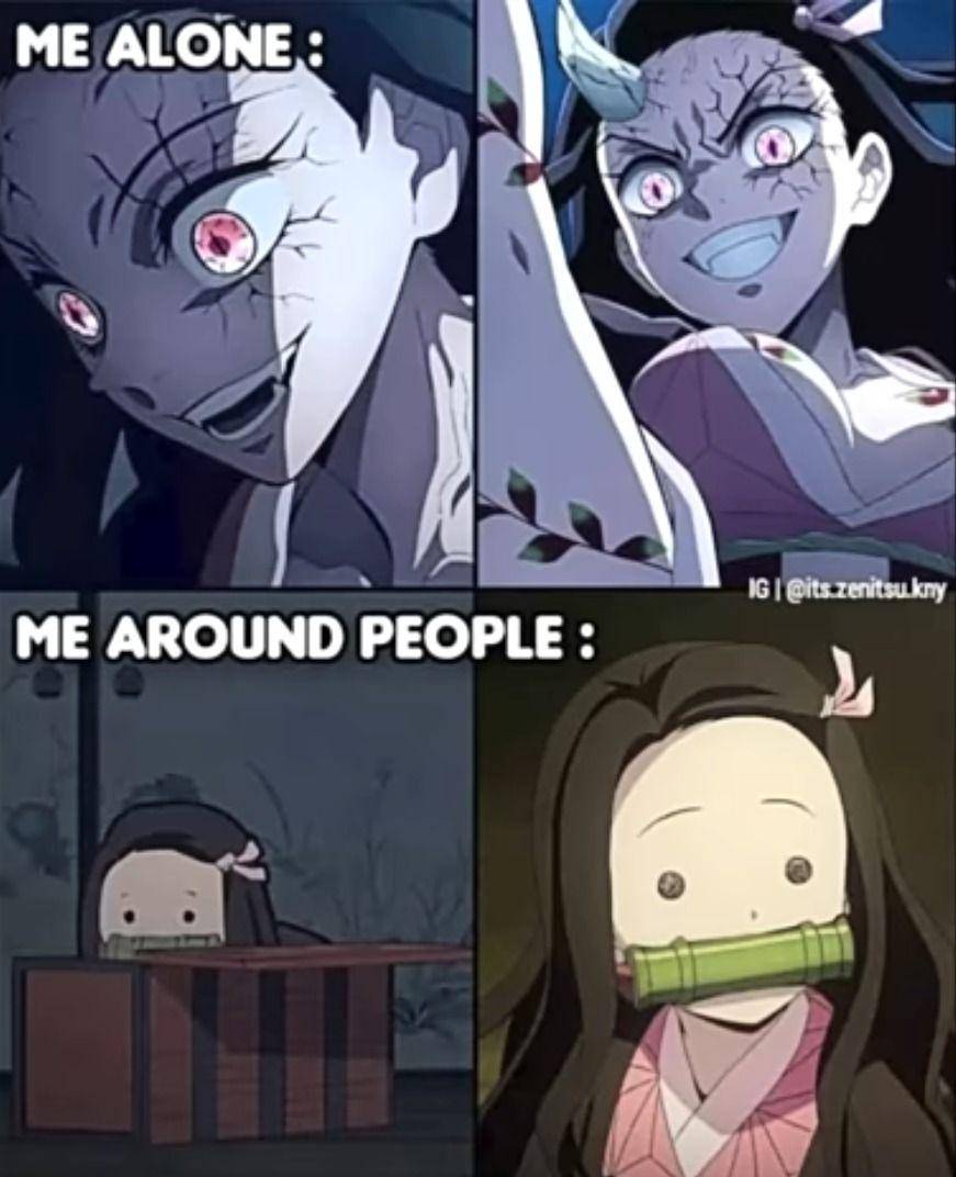 meme Nezuko versi kecil (reddit.com/r/DemonSlayerMemes)