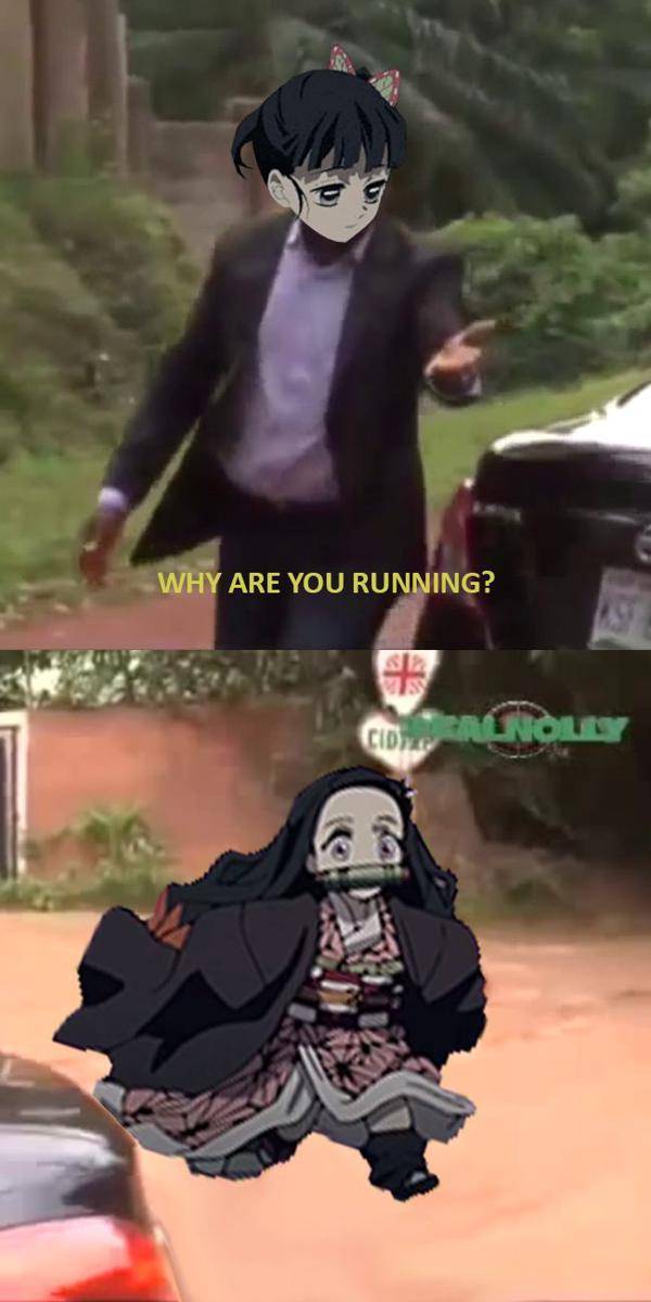 meme Nezuko versi kecil (reddit.com/user/ErockSnips)