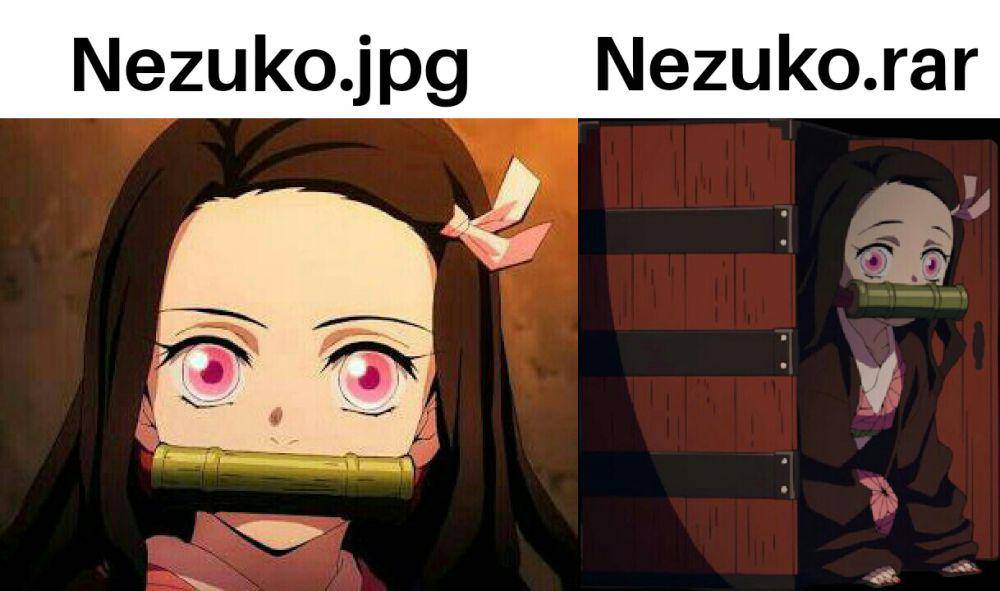 meme Nezuko versi kecil (reddit.com/user/DefiantDragon29003)