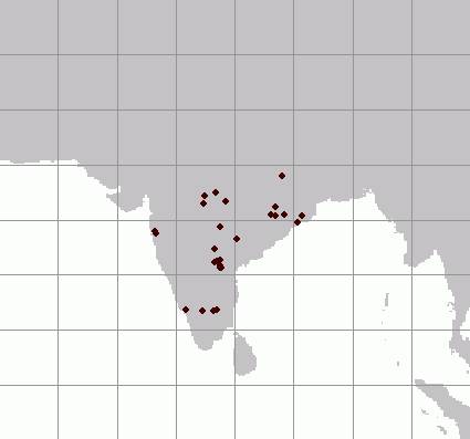 ilustrasi peta persebaran tupai madras (commons.wikimedia.org/L. Shyamal)
