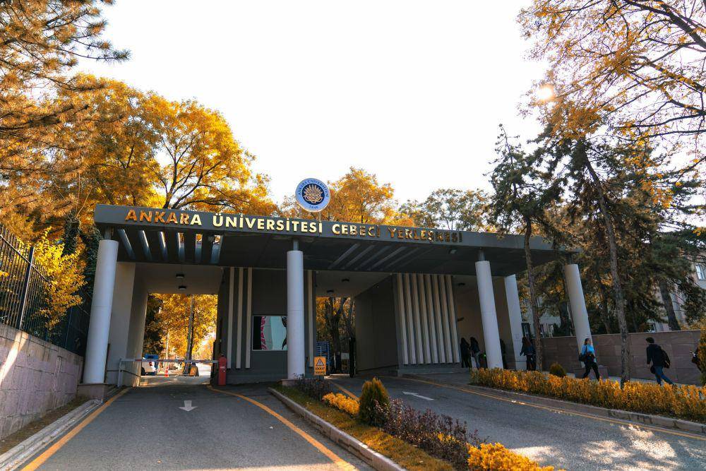 Ankara University (unsplash.com/Ankara University)