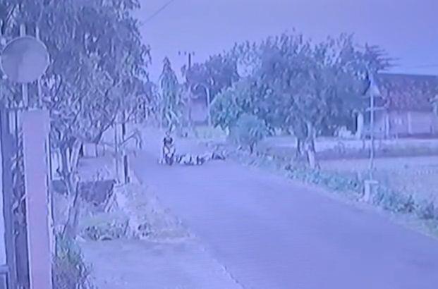 Terekam CCTV, Remaja di Ngawi Jadi Korban Begal Payudara
