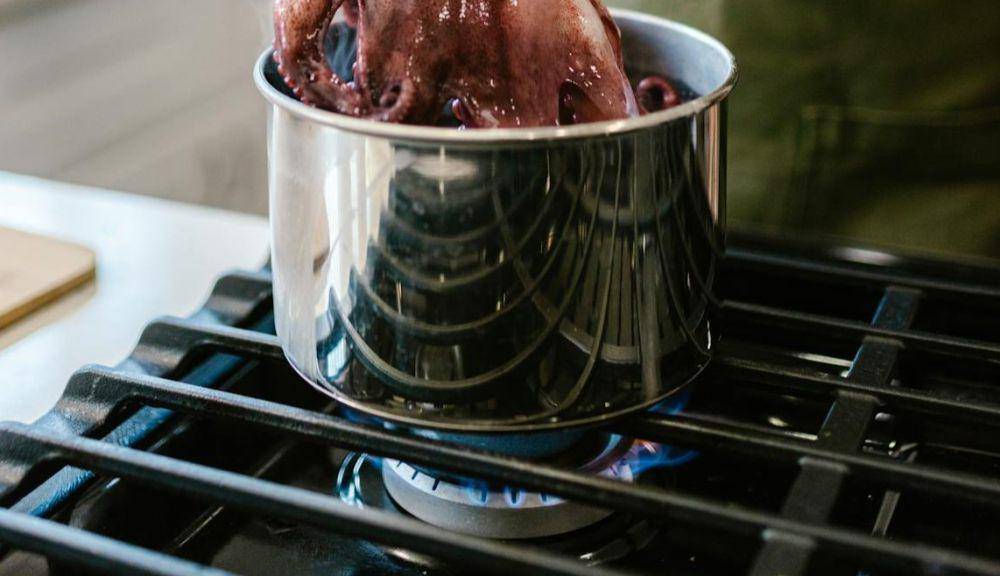 ilustrasi memasak dengan api kecil (pexels.com/RDNE Stock project)
