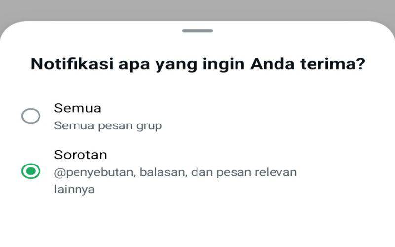 notifikasi di grup WhatsApp (dok. pribadi/Jubaedah Haryani)