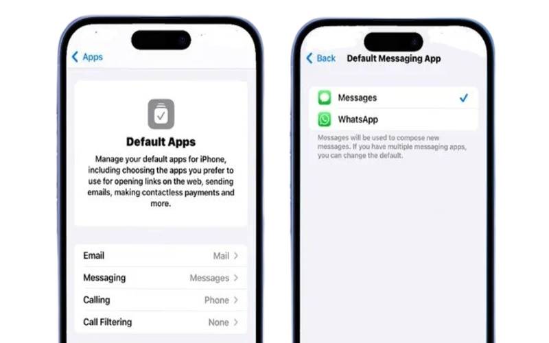 aplikasi WhatsApp jadi pesan utama (dok. pribadi/Jubaedah Haryani)