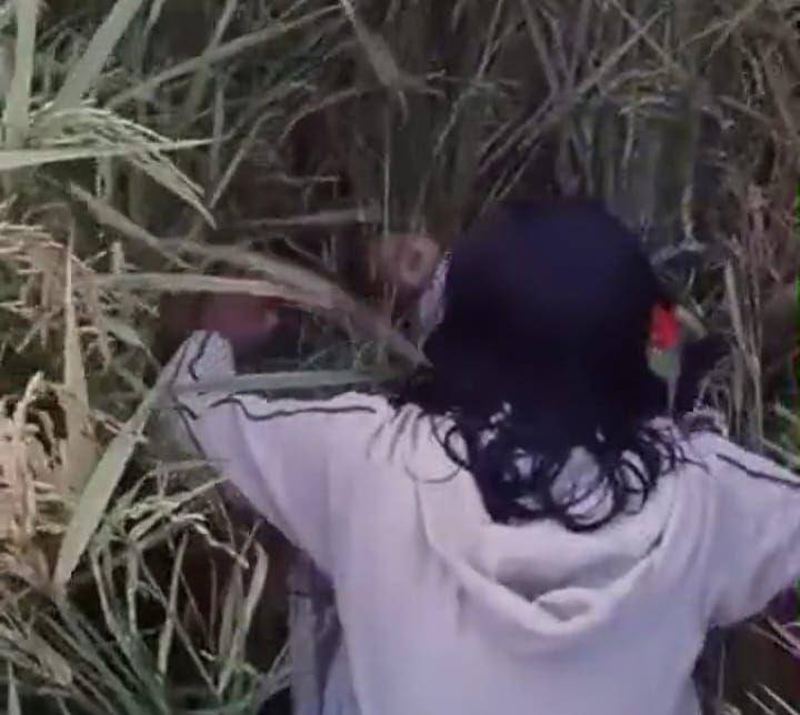 Warga menemukan bayi laki-laki di persawahan padi di Madiun. IDN Times/ Istimewa.