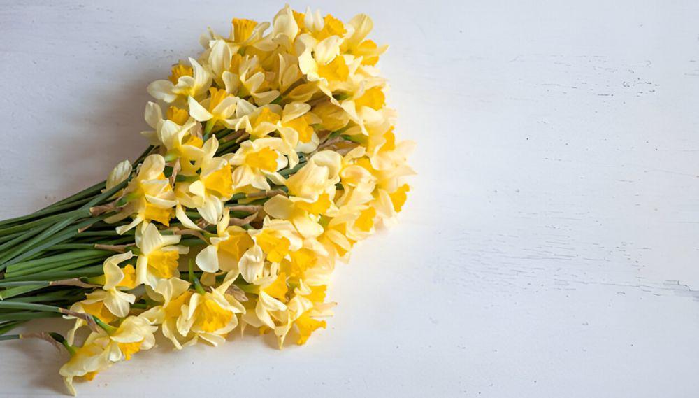 ilustrasi freesia (freepik.com/pvproductions)