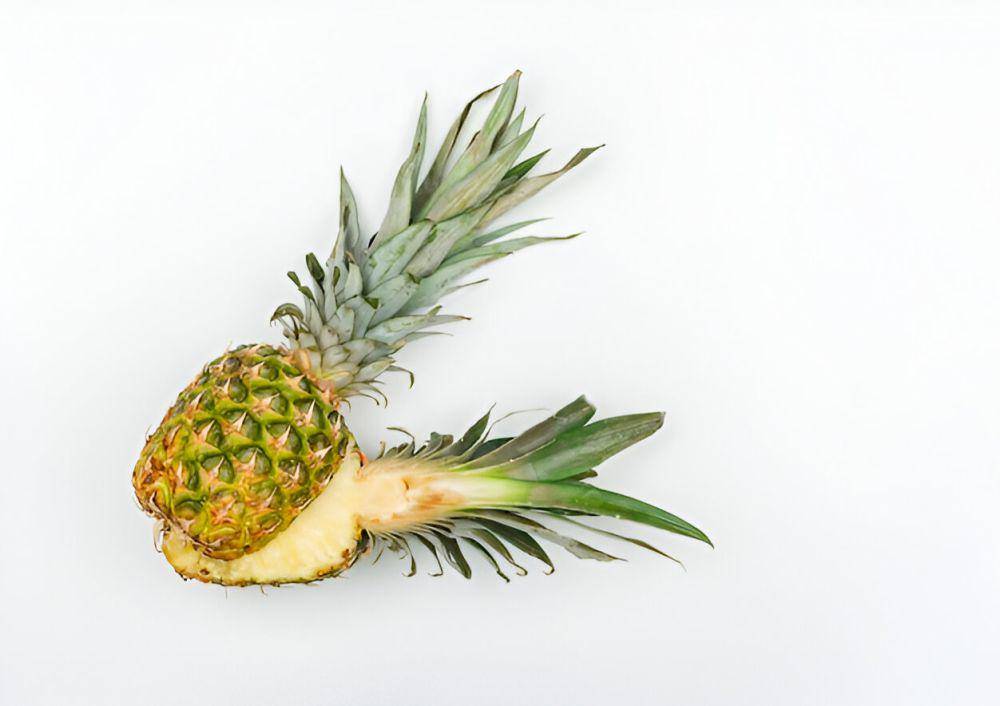 ilustrasi nanas (freepik.com/8photo)