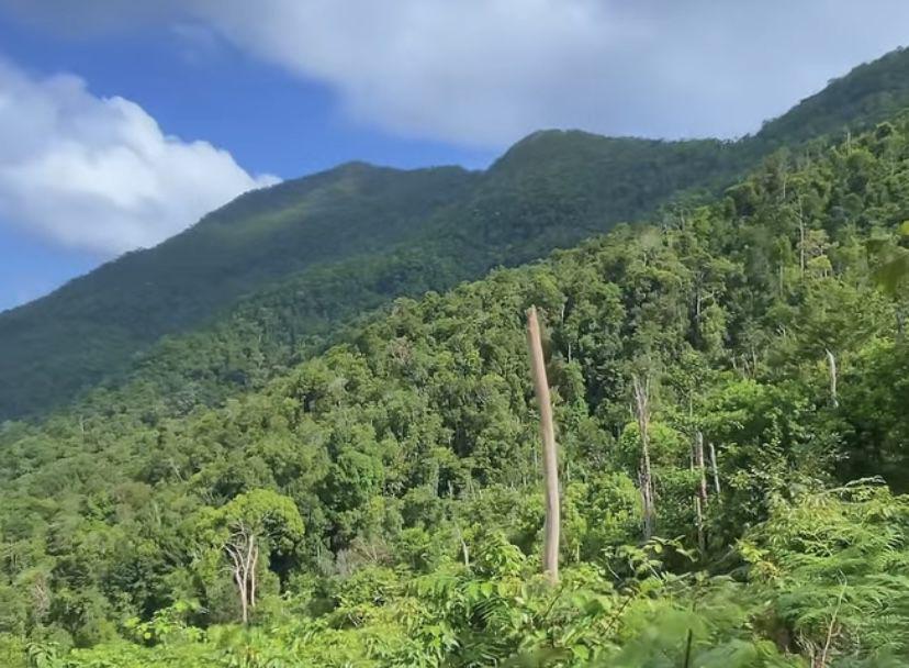 Serunya Mendaki Bukit Maras di Bangka, Ketinggian 710 Mdpl