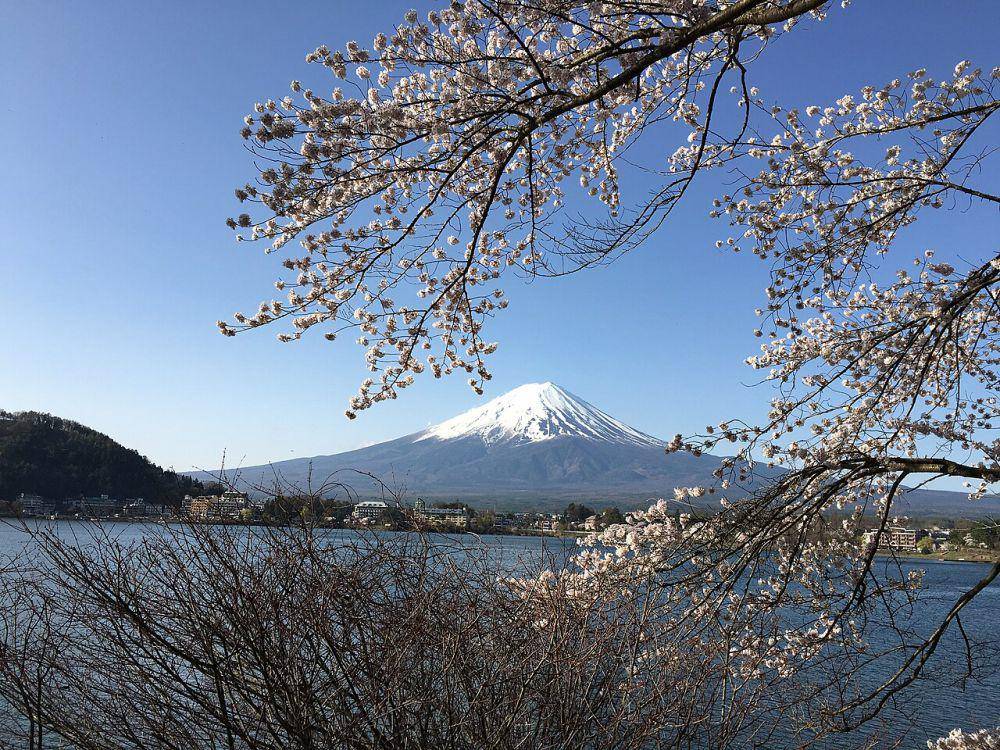 Ubuyagasaki (commons.wikimedia.org/Hrykt)