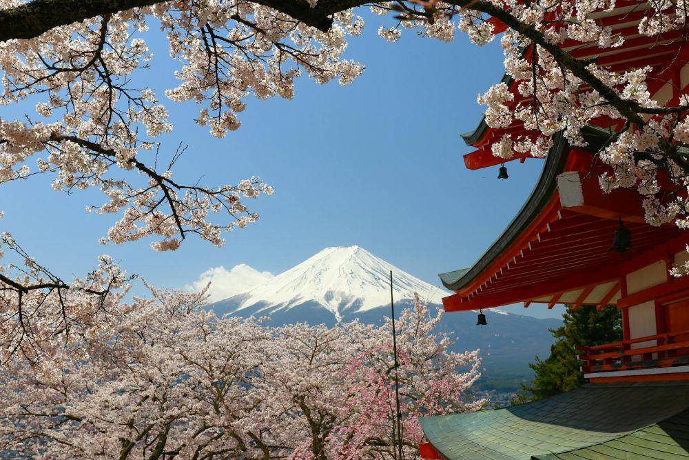 Chureito Pagoda (pexels.com/Rafael Hideki Tamanaha)