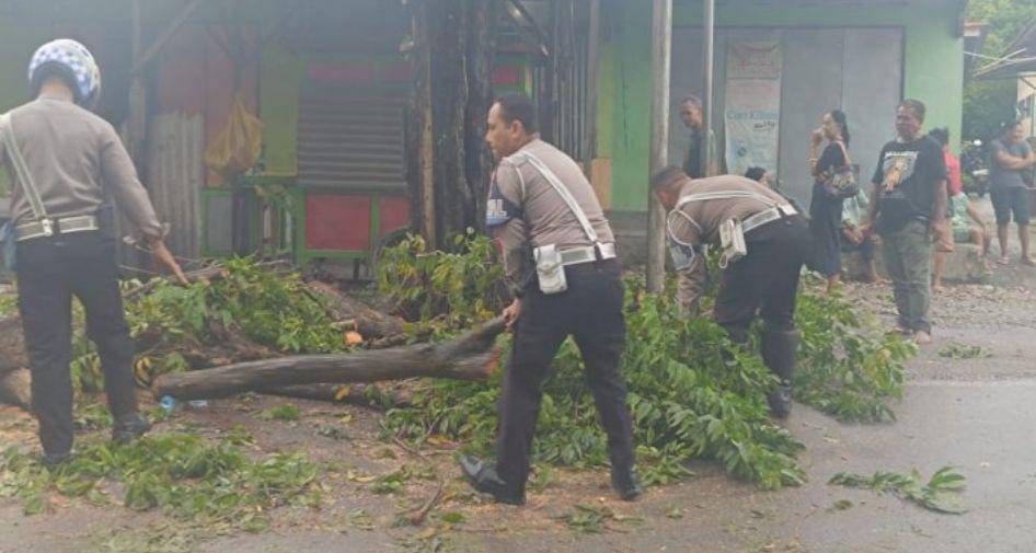 Polantas Polresta Kupang memindahkan sisa pohon tumbang akibat cuaca buruk. (Dok Polres Kupang Kota)