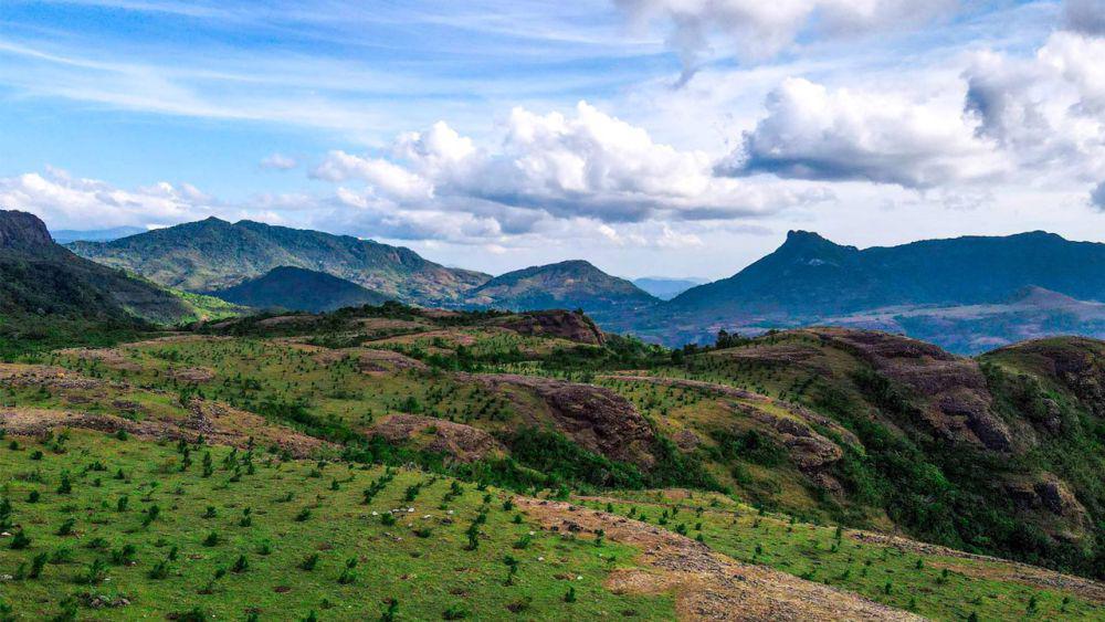 PT Vale Indonesia konsisten hijaukan bumi Sulawesi (Vale.com)