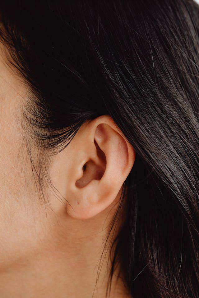 ilustrasi telinga sebelah kiri (pexels.com/Kaboompics.com)