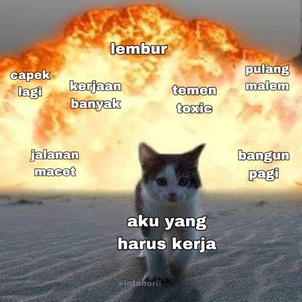 Meme kerja (x.com/intanorii)