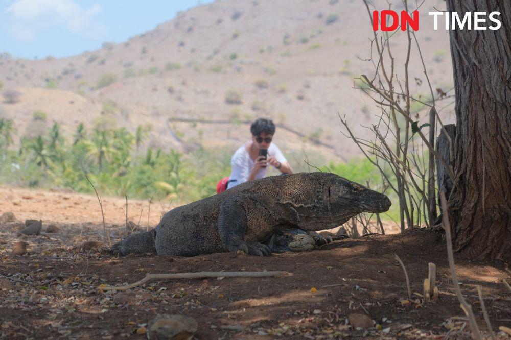10 Destinasi Terindah di Dunia 2025, Taman Nasional Komodo Nomor 1!