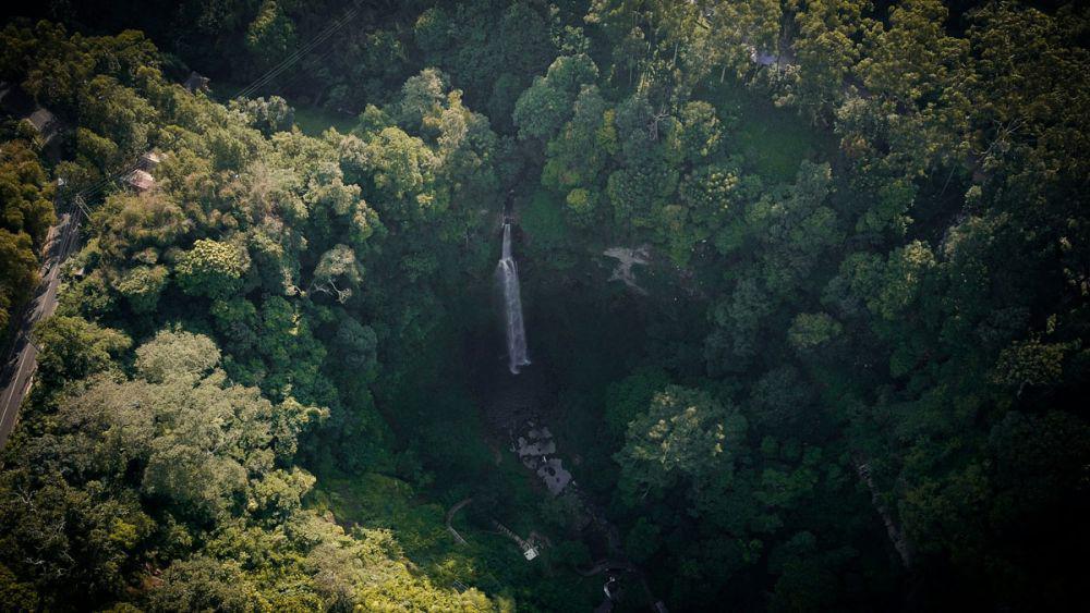 7 Wisata Alam di Banyumas Rekomendasi Tripadvisor, Jangan Lupa Mampir!